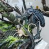 Prime 1 Studio Alien vs. Predator Machiko Broken Tusk Predator