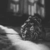 Raven Studio(silver jewelry) - Original Exclusive “Supreme” Lion King Ring