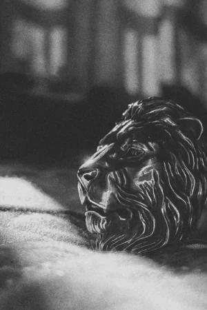 Raven Studio(silver jewelry) - Original Exclusive “Supreme” Lion King Ring