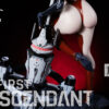 The First Descendant Dia 14 Scale TOPGK Statue – Pants Power Studio