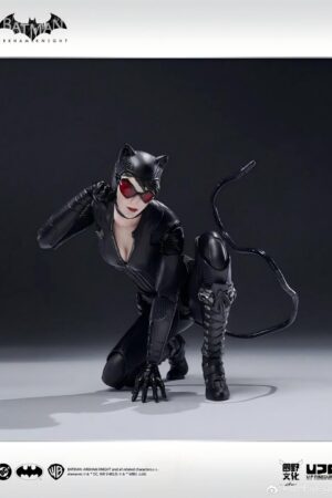 UPFinegures YUANYE DC Comics Catwoman