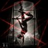 UPFinegures YUANYE DC Comics Catwoman