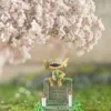 ZOO Studio – Sableye Pokémon