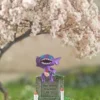 ZOO Studio – Sableye Pokémon