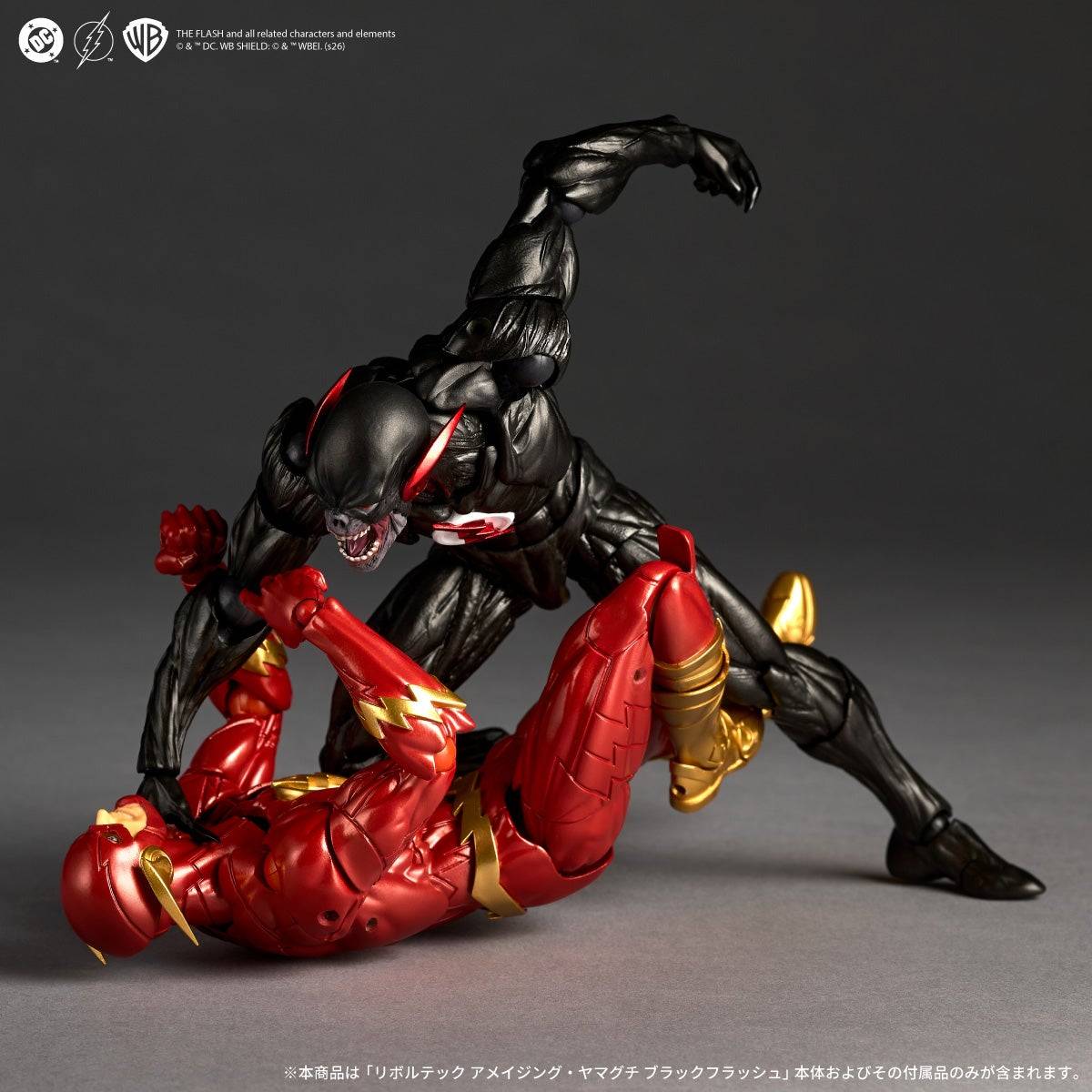 Amazing YamaguchiRevoltech DC Comics - Black Flash