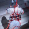 AniGame - Azur Lane: I-404