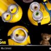 Blitzway Despicable Me Minions
