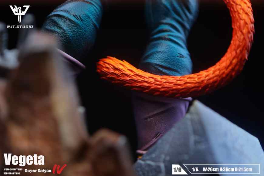 Dragon Ball GT Vegeta SSJ4 -WJT Studio - Image 13