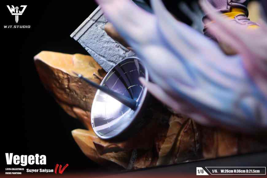 Dragon Ball GT Vegeta SSJ4 -WJT Studio - Image 14