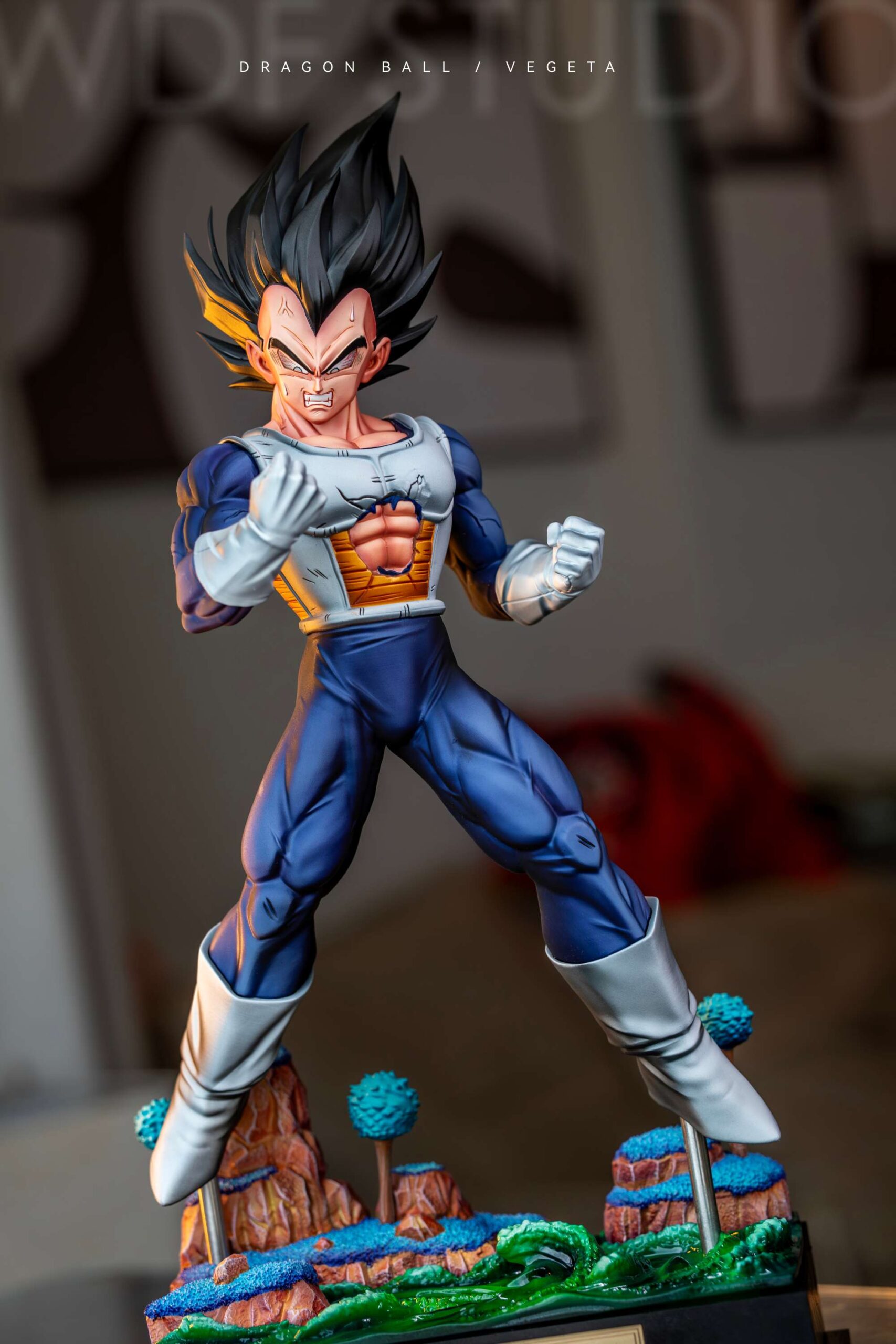 Dragon Ball Vegeta WDF Studio