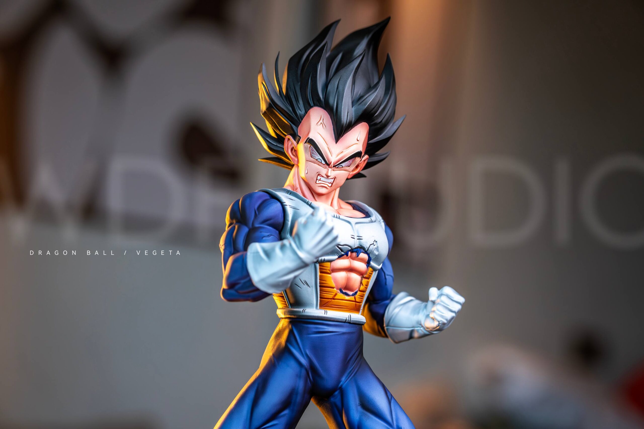 Dragon Ball Vegeta WDF Studio