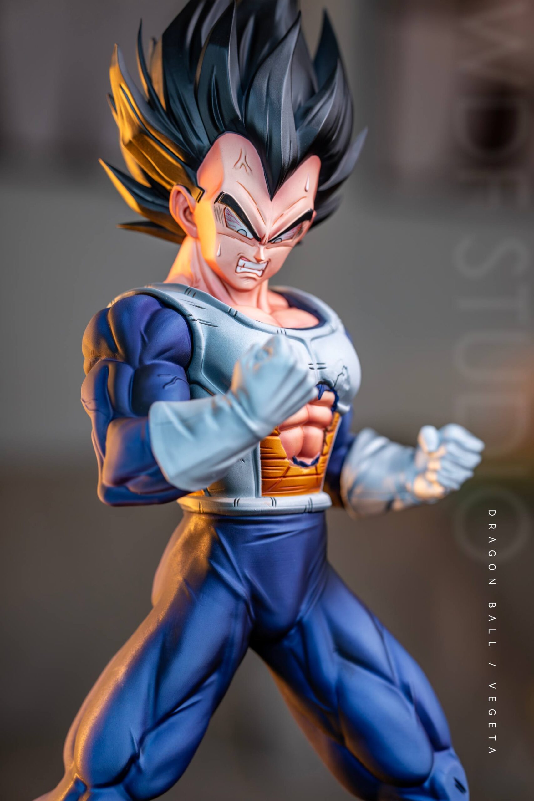Dragon Ball Vegeta WDF Studio