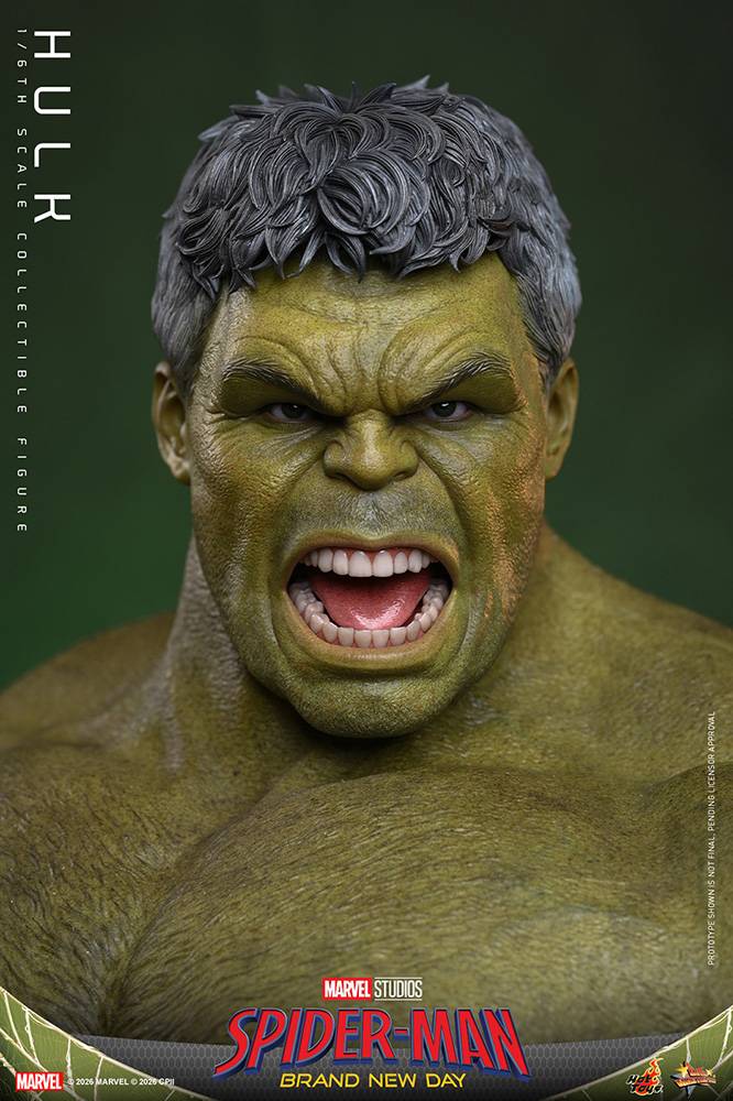 Spider-Man Hulk Hot Toys
