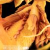 Tsume Studio Dragon Ball Son Goku / Kakarotto Statue