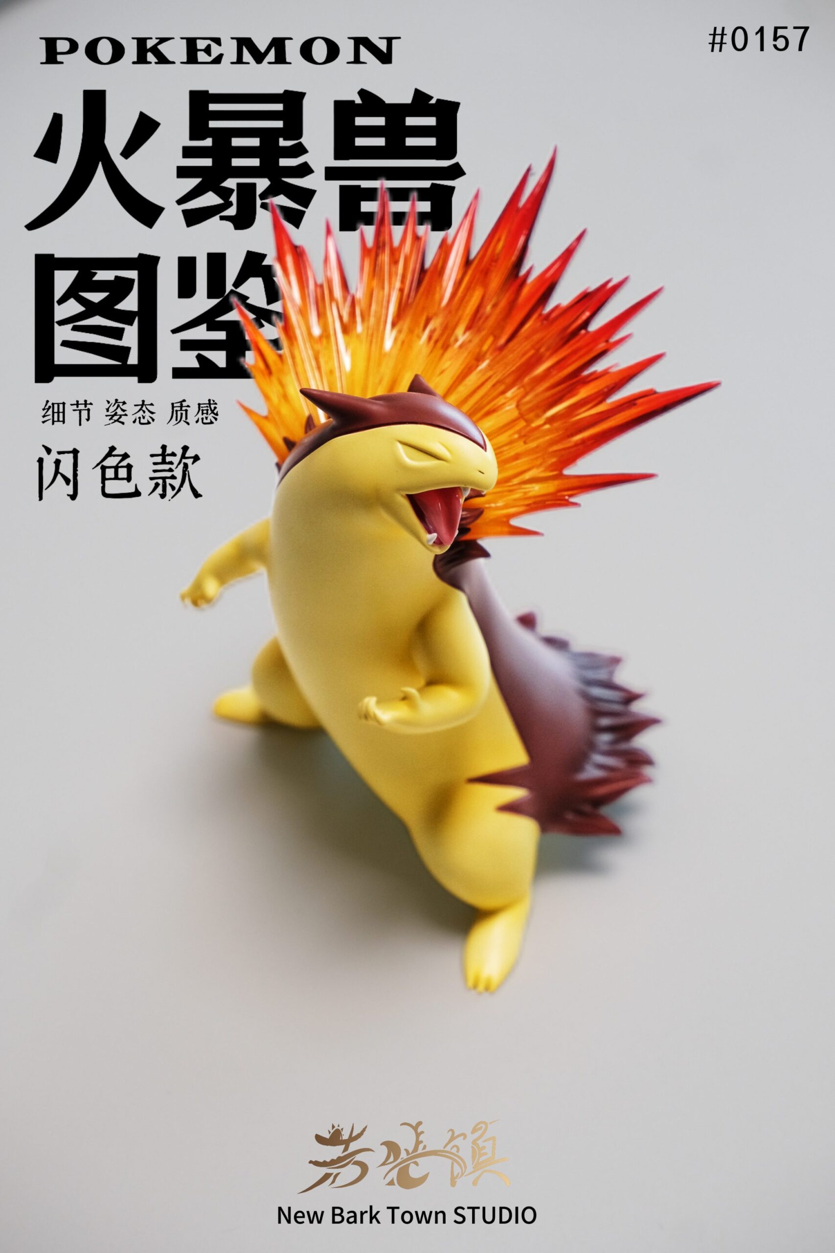 Wakaba Town Studio Typhlosion