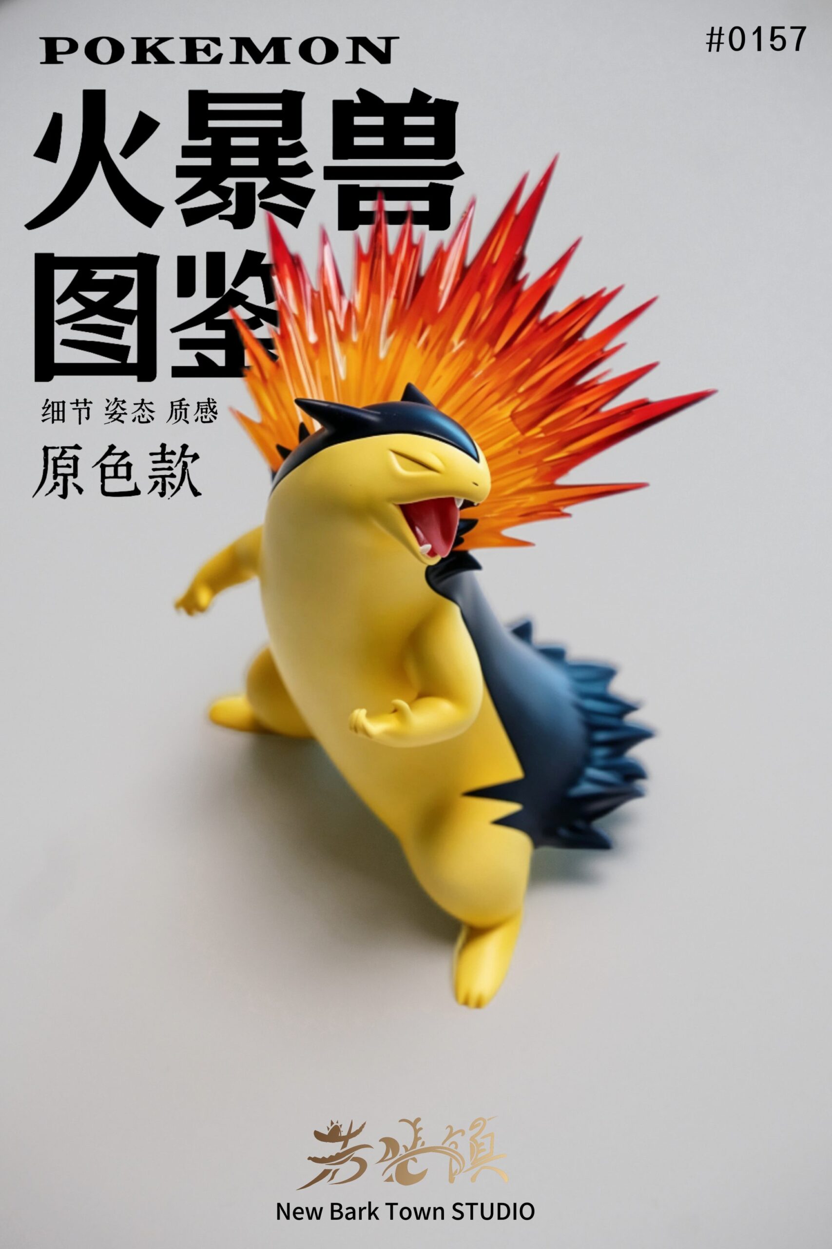 Wakaba Town Studio Typhlosion