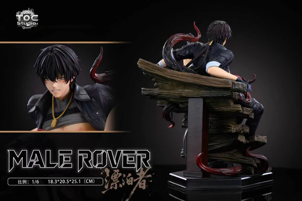 TOC Studio Wuthering Waves Rover