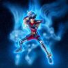 BANDAI SPIRITS Saint Seiya Pegasus(Saint Seiya)