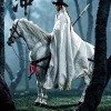 303TOYS – Water Margin Lin Chong Heavenly Hero Star 1/6 Scale Limited Collectible Figure TOPGK (Licensed)
