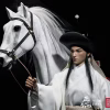 303TOYS – Water Margin Lin Chong Heavenly Hero Star 1/6 Scale Limited Collectible Figure TOPGK (Licensed)