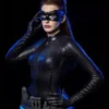 DC Catwoman Infinity Studio