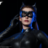 DC Catwoman Infinity Studio