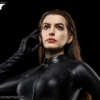 DC Catwoman Infinity Studio