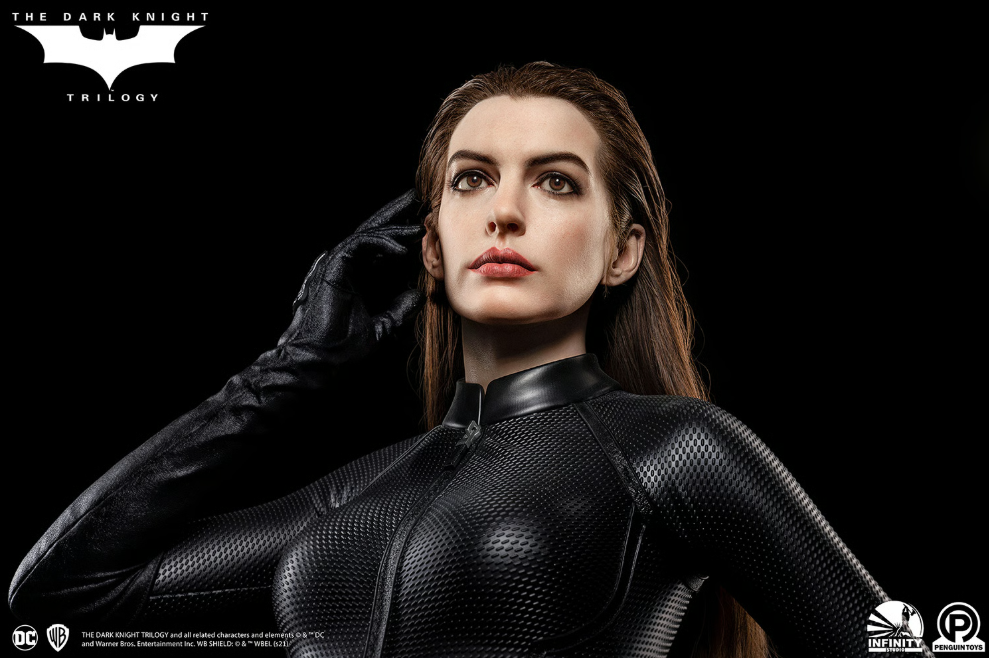 DC Catwoman Infinity Studio