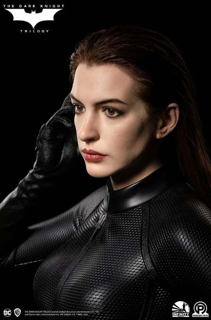 DC Catwoman Infinity Studio