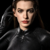 DC Catwoman Infinity Studio