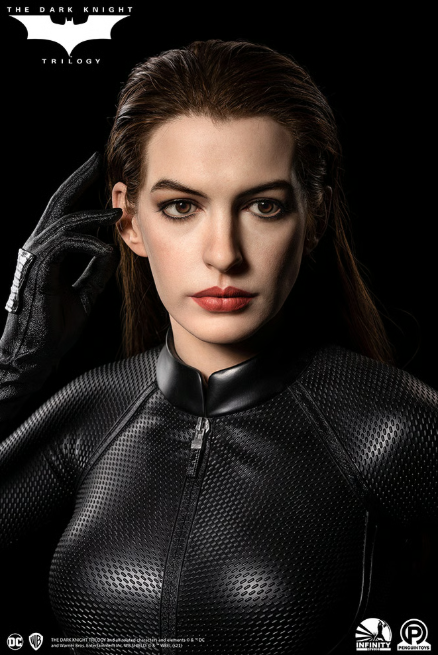 DC Catwoman Infinity Studio