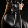 DC Catwoman Infinity Studio