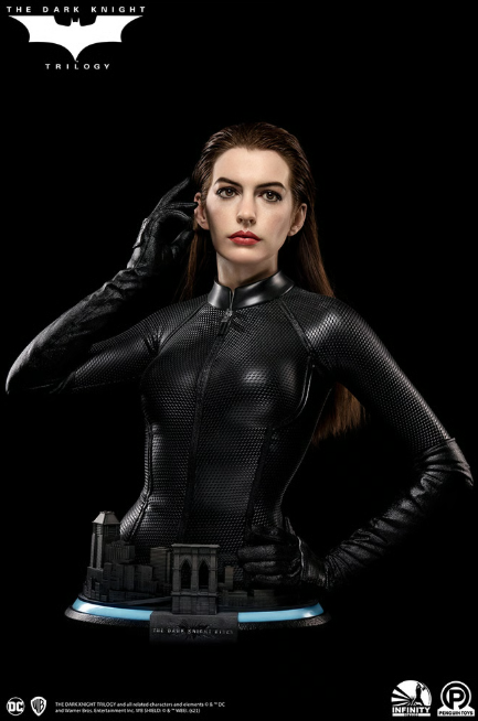 DC Catwoman Infinity Studio