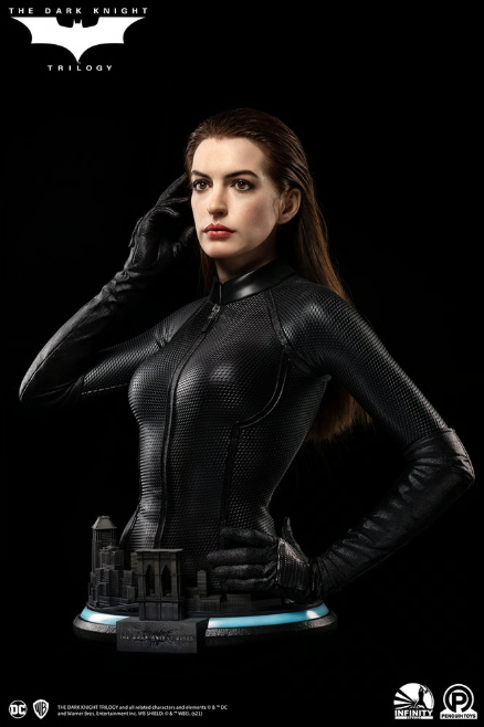 DC Catwoman Infinity Studio