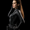 DC Catwoman Infinity Studio