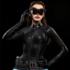 DC Catwoman Infinity Studio