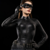 DC Catwoman Infinity Studio