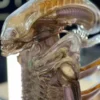 Deep Tale Studio – Alien INNER LIFE Series Giger's Alien 13 Scale Statue