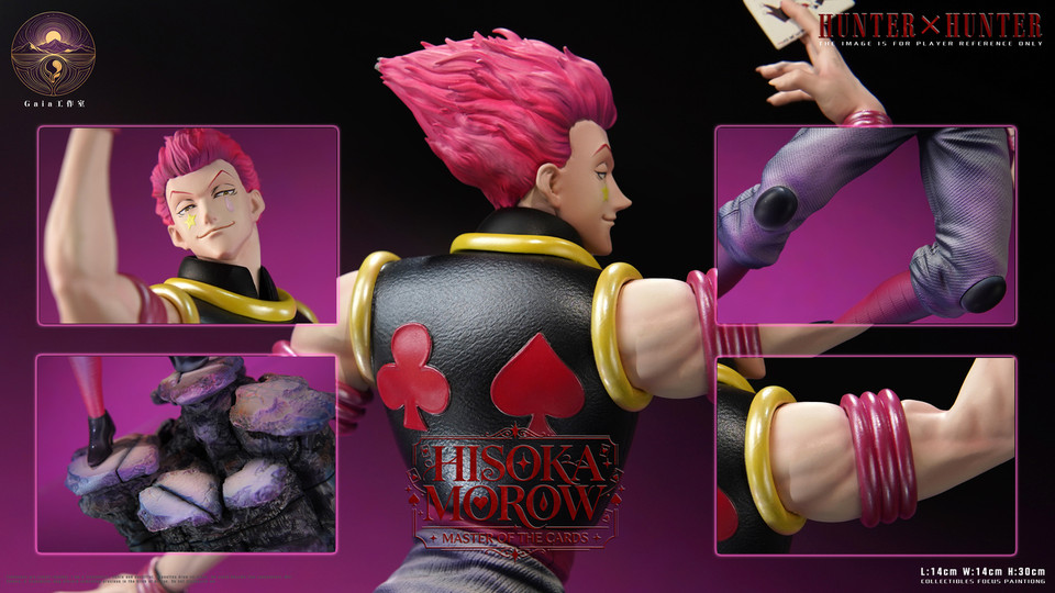 Hunter × Hunter Hisoka Morow Gaia Studio