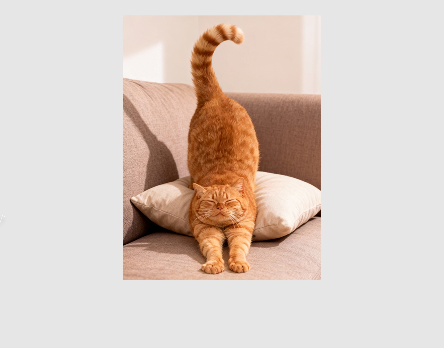 LIN Pet Series - Cat-B Sensory Toy Sex Masturbation TOPGK - LinYuan