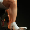 Pale Hose – Yanggu Bench Press Ver. 16 TOPGK Figure (Licensed)