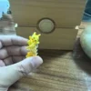 Miao Miao House Studio Pokémon Raichu