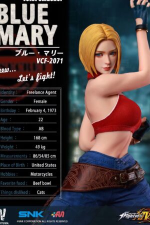 VERYCOOL – The King of Fighters XIV Blue Mary TOPGK 1/6 Scale Action Figure