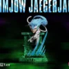 YZ Studio - Bleach Grimmjow TOPGK Statue