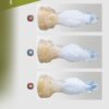 Zodiac Series Aries Sensory Toy Sex Masturbator XSSM – LinYuan
