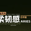 Zodiac Series Aries Sensory Toy Sex Masturbator XSSM – LinYuan