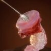Zodiac Series Cancer Sensory Toy Sex Masturbator TOPGK XS/S/M – LinYuan