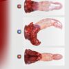 Zodiac Series Cancer Sensory Toy Sex Masturbator TOPGK XS/S/M – LinYuan