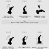 Zodiac Series Capricorn Sensory Toy Sex Masturbator TOPGK XS/S/M – LinYuan