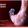 Zodiac Series Virgo Sensory Toy Sex Masturbator TOPGK XS/S/M – LinYuan